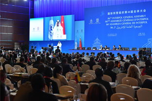 北京服务 新国企的卓越影响力 国家会议中心成功接待国际刑警组织第86届全体大会